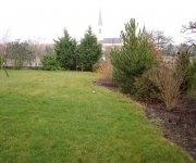 Création de haie pour jardins